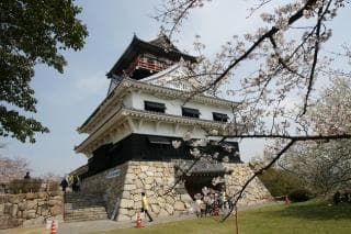 Kawanoe Castle