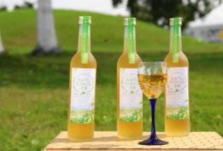 From the village of Hamai