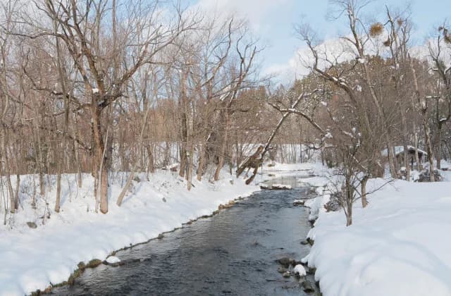 Hakanoki Nature Park 3