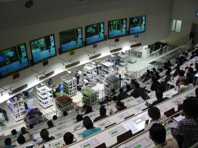 Konosu Flower Center