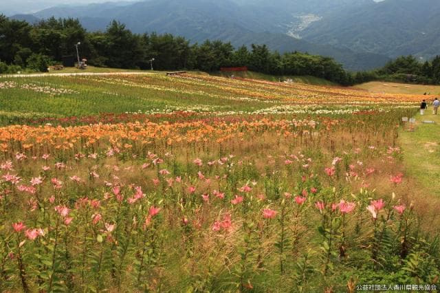 Unabe Terayamacho Park "Yurien"
