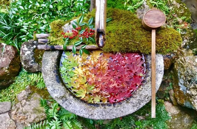 Autumn leaves of Yanagiya Kannon Yangdani-ji Temple