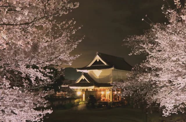 Cherry Blossom Lighting