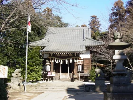 Honden of Hikawa-jinja Shrine