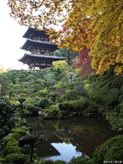 Taima Teranishi Nanin Garden
