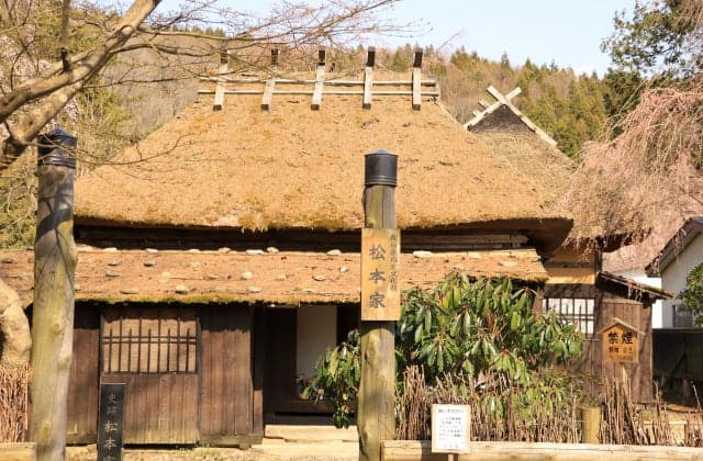 The Matsumoto family