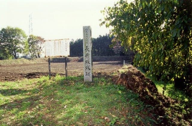 Sakaki, Nagai Site