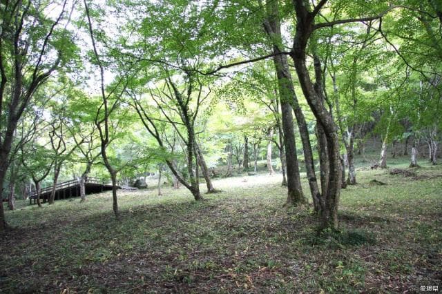 稲荷山公園
