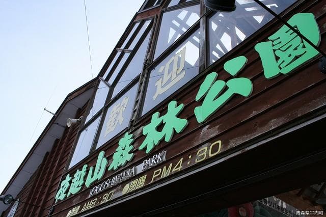 Night Koshiyama Forest Park