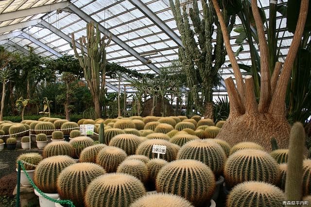 Night Koshiyama Forest Park (in the park)