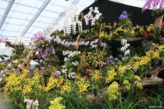 Night Koshiyama Forest Park (in the park)