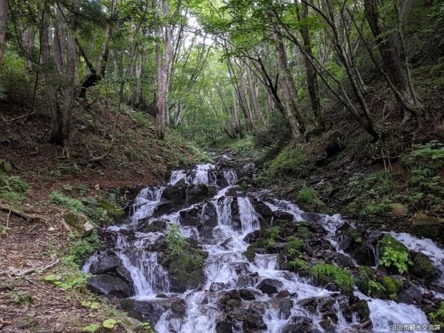 Kowashimizu Falls