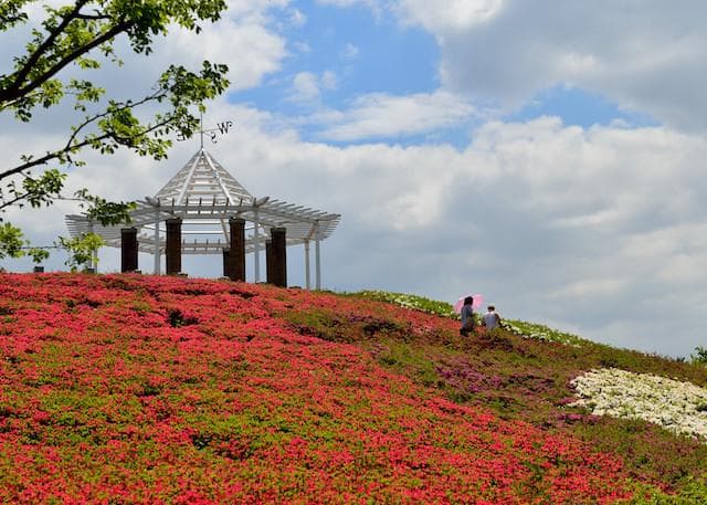 Metropolitan Akirudai Park