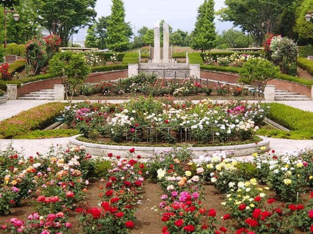 Tokyo Metropolitan Akirudai Park