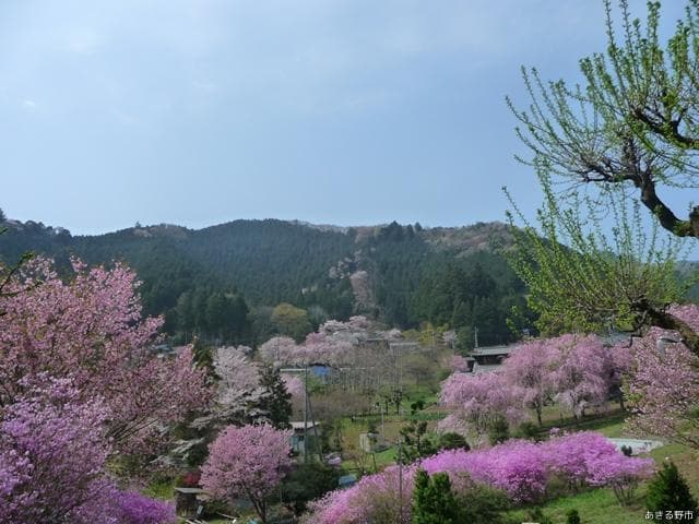 Otsu Hana no Sato