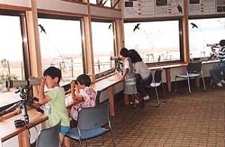 宍道湖グリーンパーク