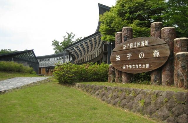 The Forest of Mashiko