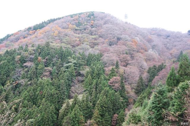 高縄山