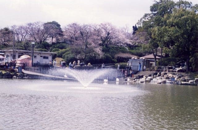 Katsumori Park