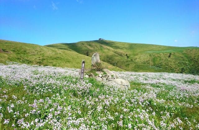 Mt. Akabage, the colony of the ruins of Emperor Godaigo.