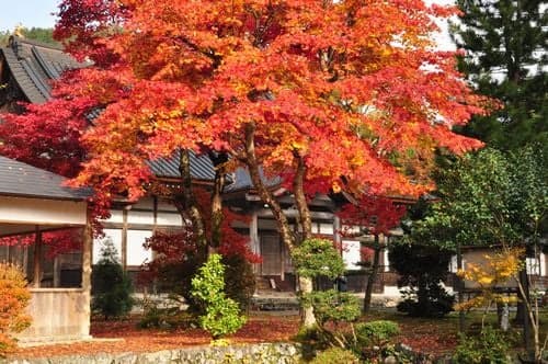 Koshoji Temple