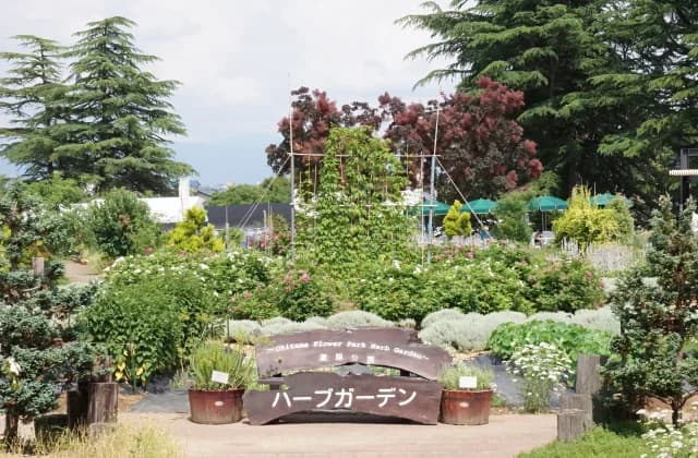Photos during the Okitama Park Herb Garden Fair