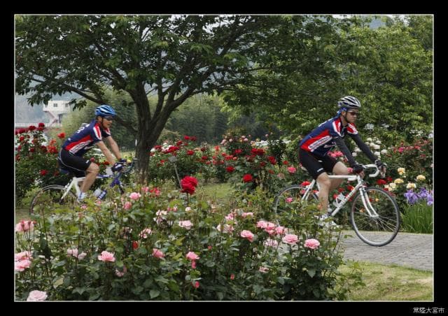 Rose Garden and Cycling