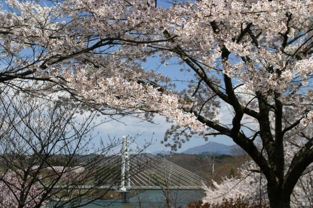 Sakura Park