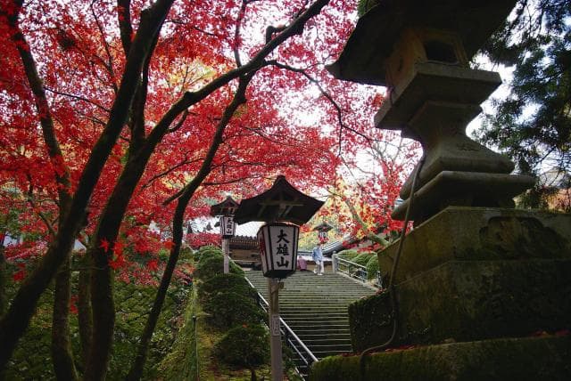 Red leaves of Saijo-ji Temple