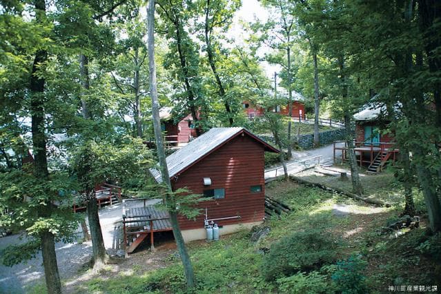 Jomine Park Campsite