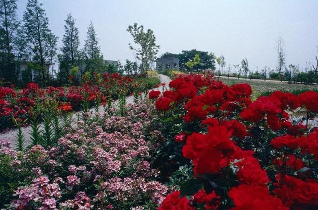 Yanagasaki Lakeside Park