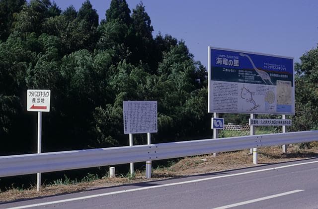 Futaba Suzuki Ryu excavation site