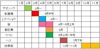 花の見ごろ