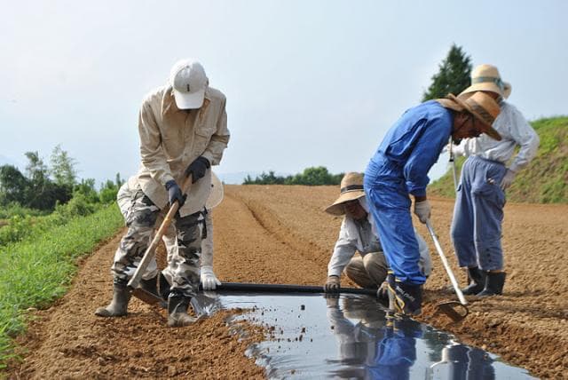 Hyakushokai (Muragigo)