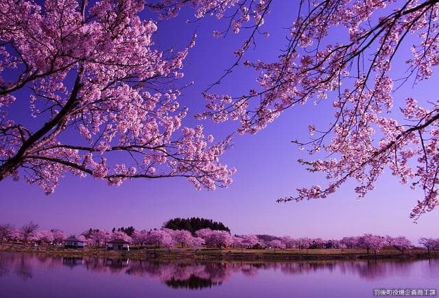 アルカディア公園