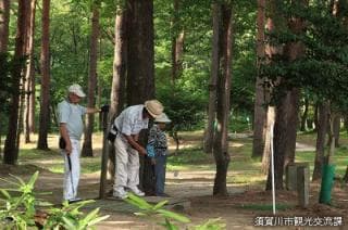 マレットゴルフ