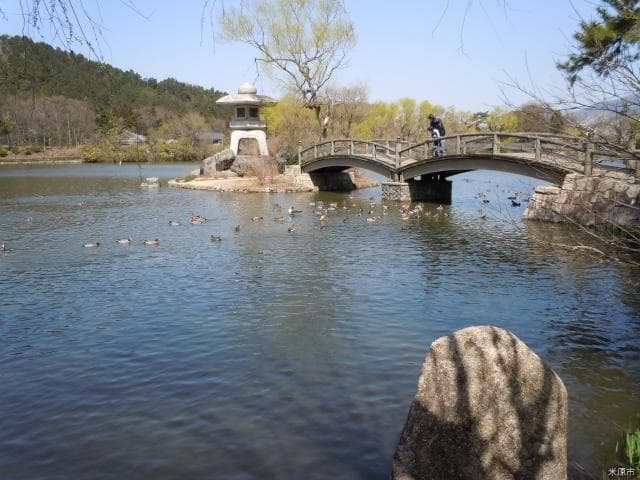 Mishima Pond