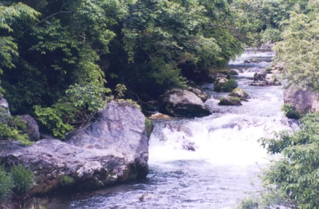 Ichino Togawa