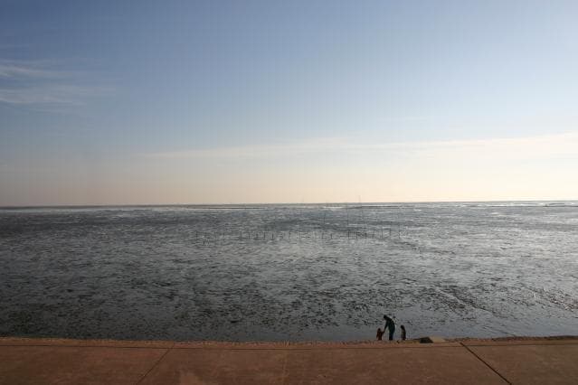 Michi-no-Eki Kashima (Nanaura Seaside Sports Park) Tidal flats in the Ariake Sea