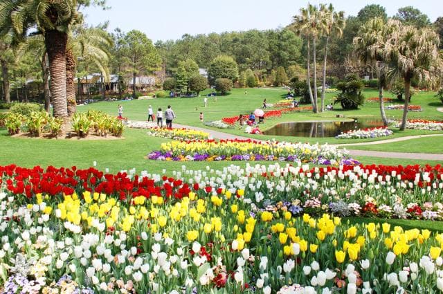 フローランテ宮崎