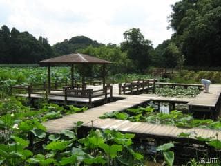 Sakatagaike General Park