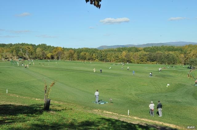 Pallet Park Golf Course