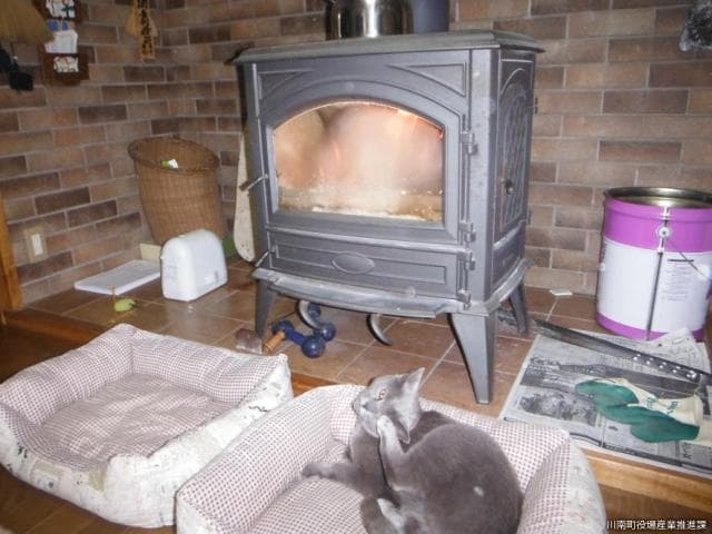 In winter, relax with the cat while hitting the wood stove (main building)