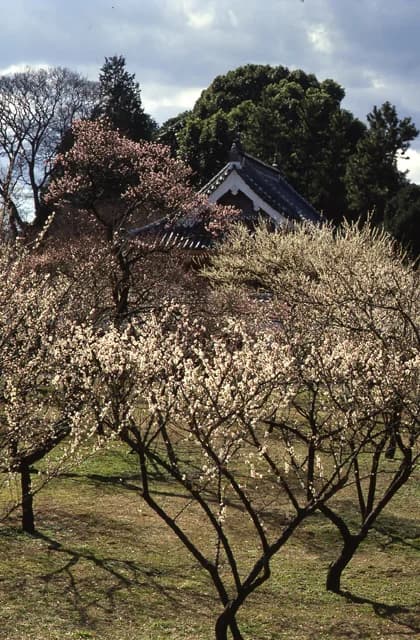 弘道館公園