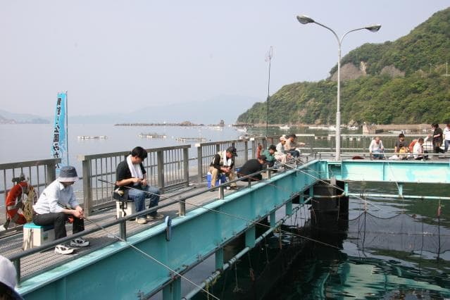 Sea fishing park Mikata
