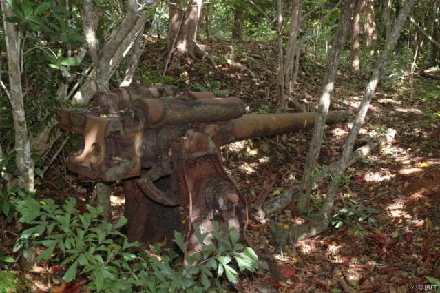 Under the light of East Port