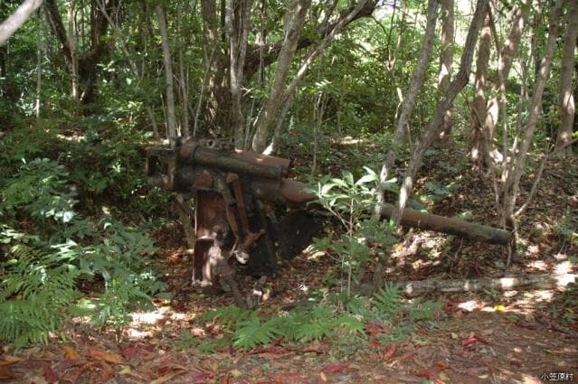 Under the light of East Port