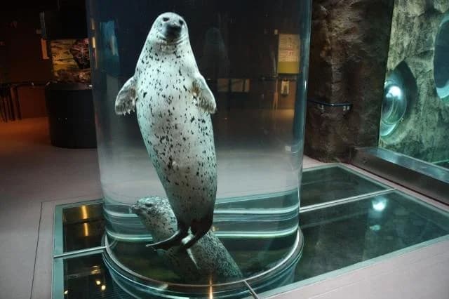 Asahiyama, Asahikawa-shi Zoo