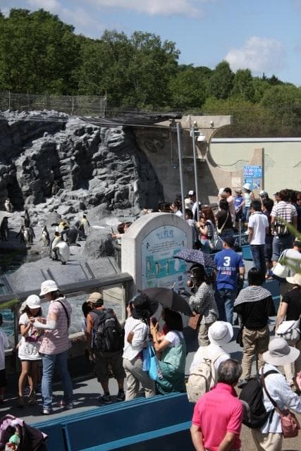Asahiyama, Asahikawa-shi Zoo