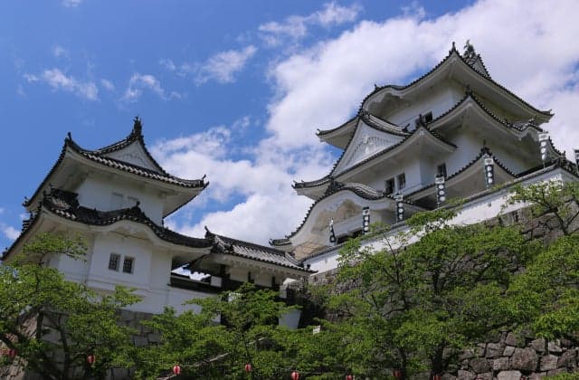 Iga Ueno Castle